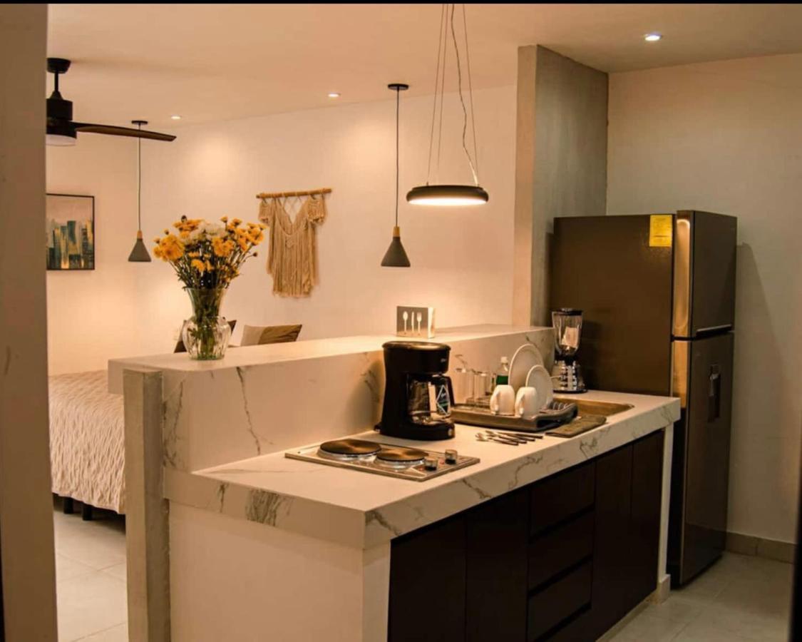 Mid-498 Centro Lägenhet Mérida Exteriör bild